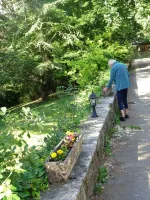 DSC061781jpg_6453ab5ad1a22