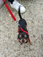 DSC01811CopieJPG_6899f81b05348